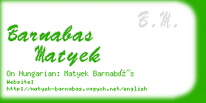 barnabas matyek business card